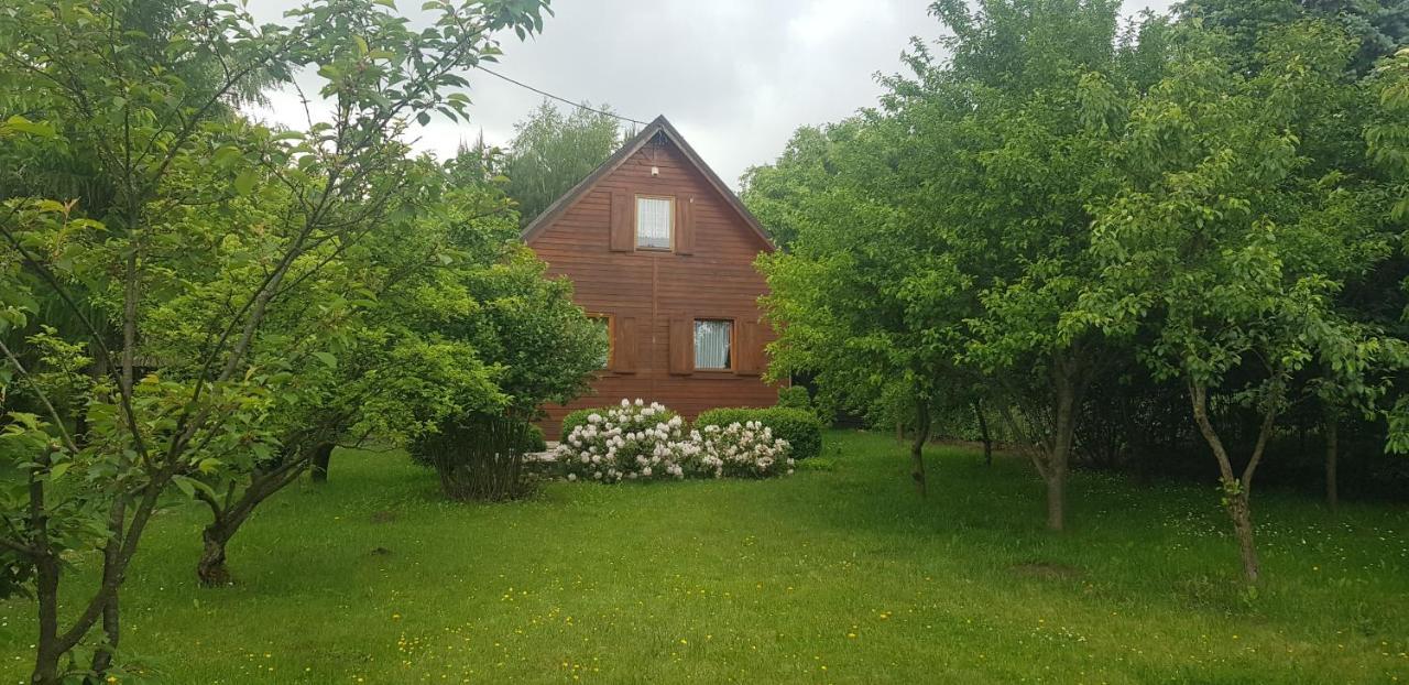 Szyszka I Roza Domek Na Jurze Zelazko Exterior foto