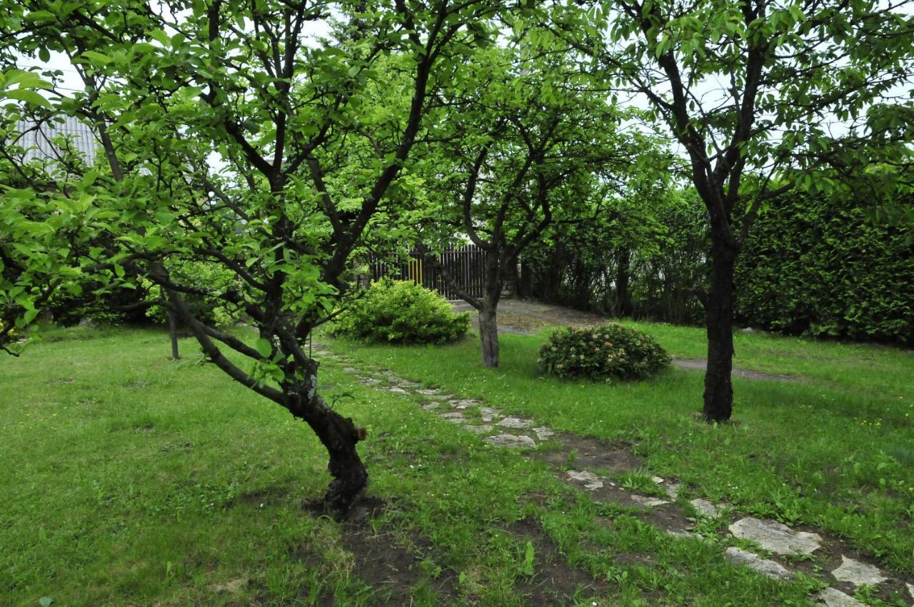 Szyszka I Roza Domek Na Jurze Zelazko Exterior foto