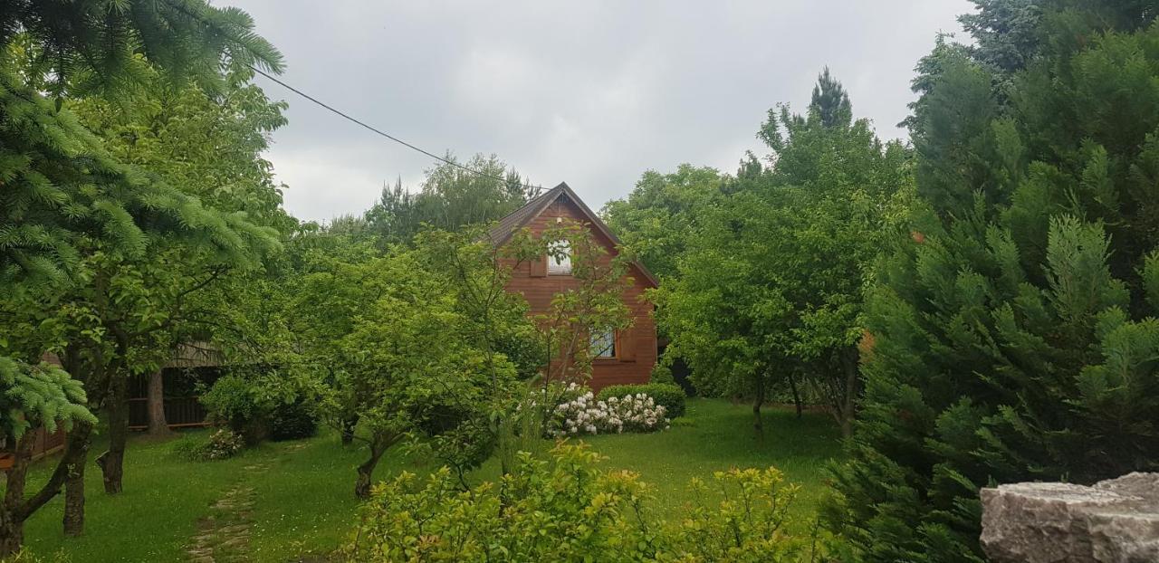 Szyszka I Roza Domek Na Jurze Zelazko Exterior foto