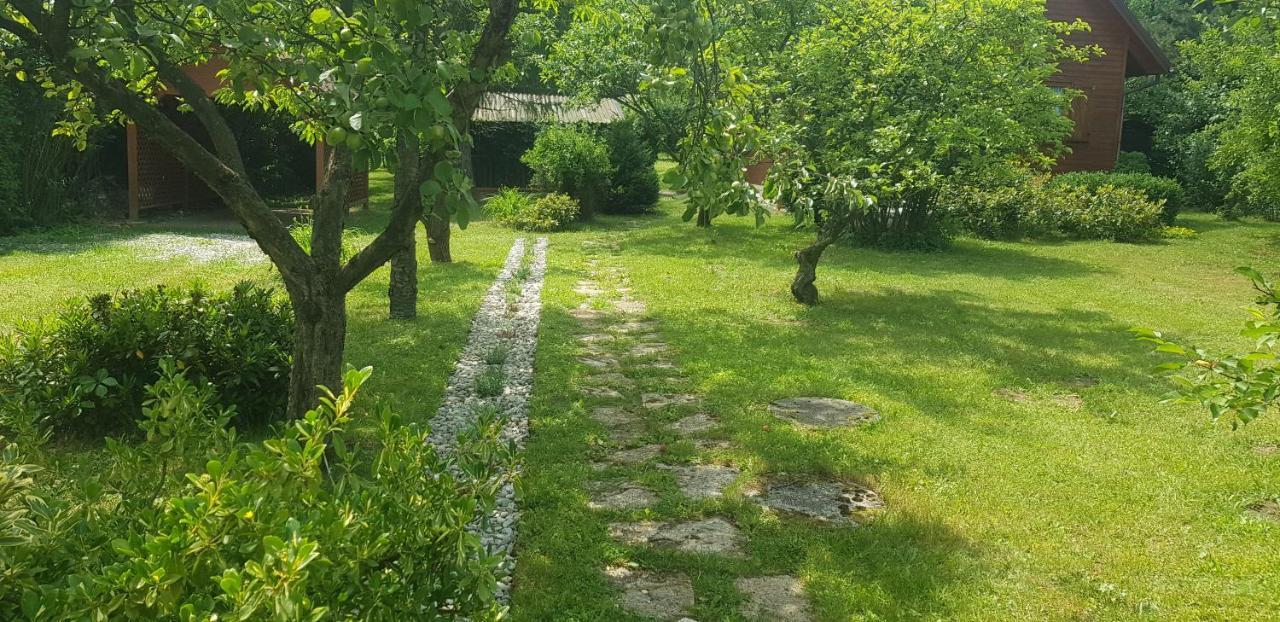 Szyszka I Roza Domek Na Jurze Zelazko Exterior foto